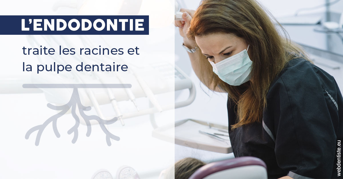 https://dr-manhes-luc.chirurgiens-dentistes.fr/L'endodontie 1