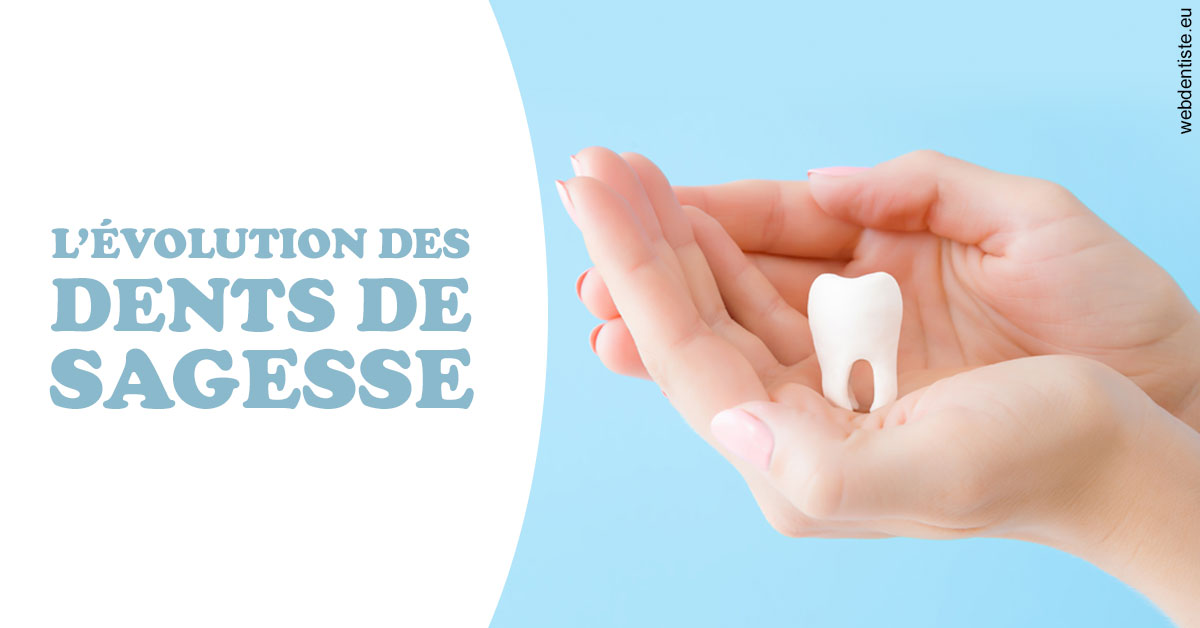 https://dr-manhes-luc.chirurgiens-dentistes.fr/Evolution dents de sagesse 1