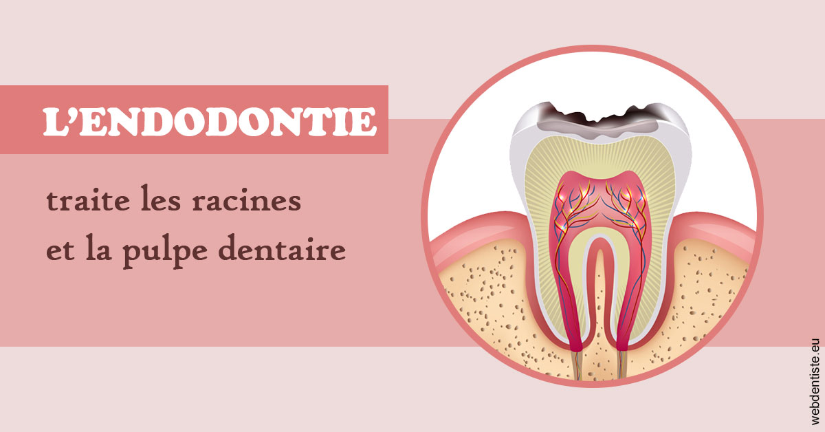 https://dr-manhes-luc.chirurgiens-dentistes.fr/L'endodontie 2