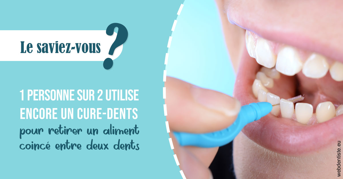 https://dr-manhes-luc.chirurgiens-dentistes.fr/Cure-dents 1